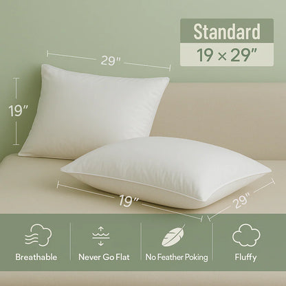 Duck Feather & Down Pillow Pair – Hotel Quality Luxury Comfort – 100% Cotton Cover – Soft & Supportive – Standard UK Size (Pair of 2)